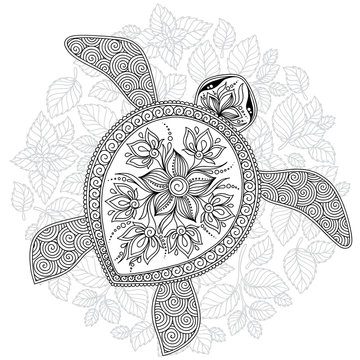Vector illustration of sea turtle for Coloring book pages