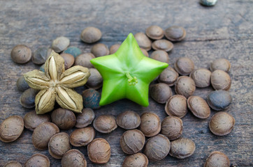 Sacha inchi, Sacha peanut, Inca peanut, Supra or Mountain peanut