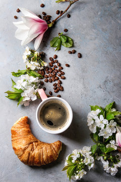 Pink mug of black espresso coffee, french croissant, cream and spring flowers magnolia, blooming cherry branches over grey texture background. Top view, space. Spring greeting card,