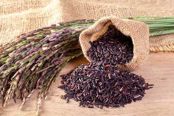 Riceberry organic food