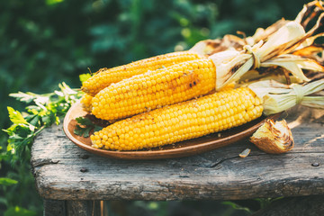 Grilled corn cobs on old table in the open air.