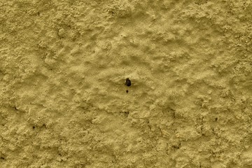 Concrete cement texture, stucco background and rock surface