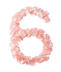 Number 6 Made of Flowers. Number Monogram