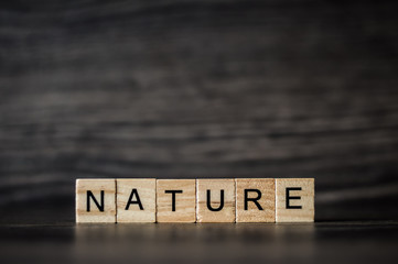 the word nature, consisting of light wooden square panels on a dark wooden background