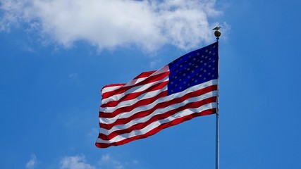 Amerikanische Fahne, Stars and Stripes