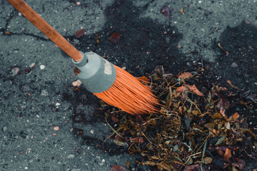 Orange broom is removed on the street foliage and trash
