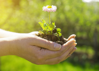 Young woman holding a flower in her hands.