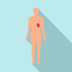 Front view of human spleen icon. Flat illustration of front view of human spleen vector icon for web design