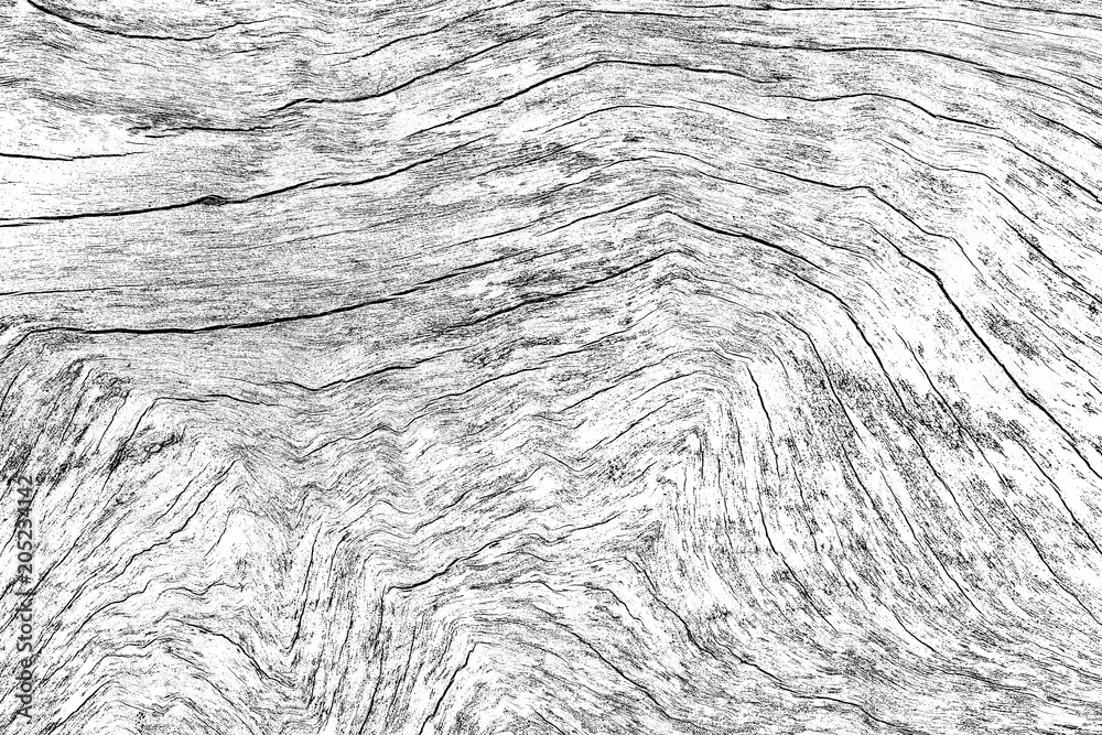 Aufkleber wood grain texture high resolution background for design backdrop