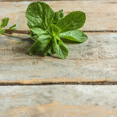 mint - fresh and juicy fragrant herbs (meal outdoors) - cuisine.  Food background
