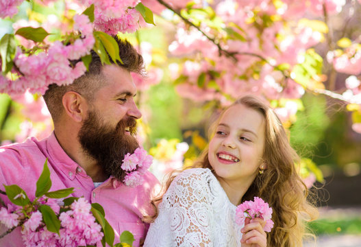 Childhood concept. Girl with dad near sakura flowers on spring day. Child and man with tender pink flowers in beard. Father and daughter on happy faces play with flowers and hugging, sakura background