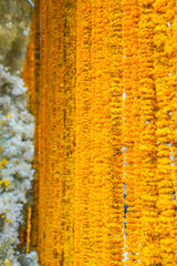 Marigold arrangement to flower steering and mobile to decorate event / festival for photo shooting or backdrop and background in Flower Market, Thailand.