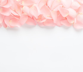 Fototapeta premium pink petal