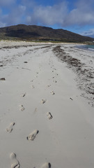 Sandy Footprints