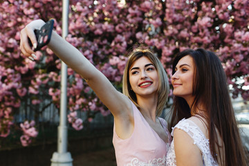 Two girls take selfie before a beautiful sakura tree in the park