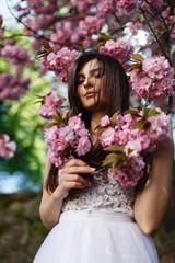 Obraz premium Wind blows brunette woman's hair while she poses before a blooming sakura tree