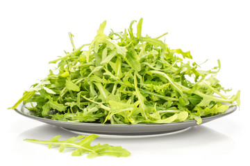 .Fresh arugula leaves on a grey ceramic plate isolated on white background.