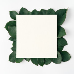 Fototapeta premium paper with green leaves on white background
