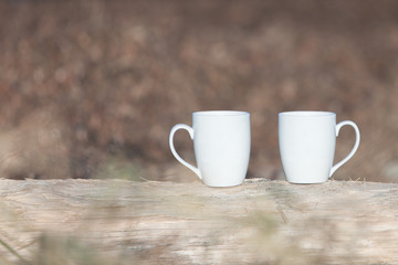 Two White Mugs On Driftwood Log