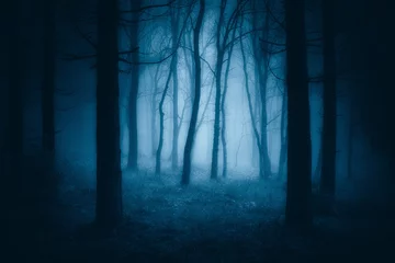 Foto auf Acrylglas dunkler gruseliger Wald mit gruseligen Bäumen © mimadeo