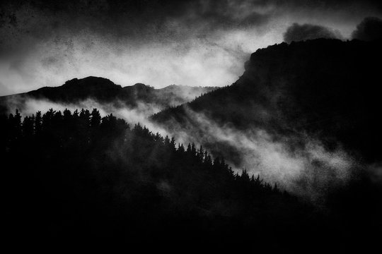 Fototapeta dark landscape with foggy forest at night and grungy textures