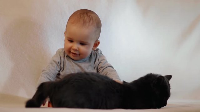 A small cheerful child tries to catch a cat by the tail. Baby plays with cat. Slow motion shot.