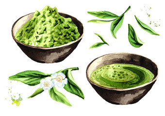 Organic green Matcha tea set. Watercolor hand drawn illustration,  isolated on white background