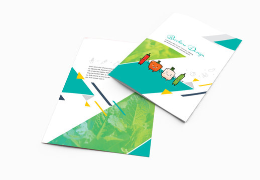 Brochure Layout With Teal Accents