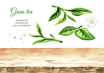 Tea background elements. Watercolor hand drawn illustration, isolated on white background