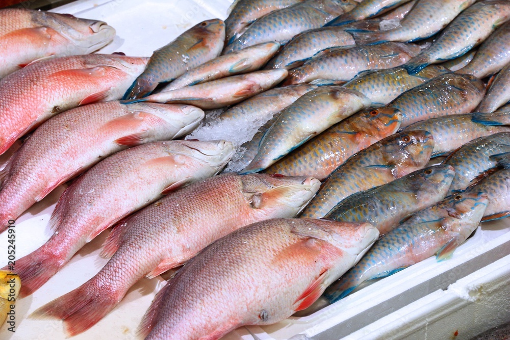 Sticker fish at billingsgate market, london