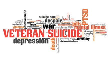 Veteran suicide