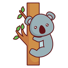 cute koala on tree branch over white background, vector illustration