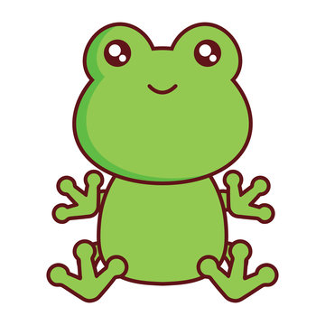 cute frog icon over white background, colorful design. vector illustration