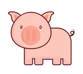 cute pig icon over white background, colorful design. vector illustration