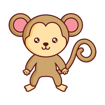 cute monkey icon over white background, colorful design. vector illustration