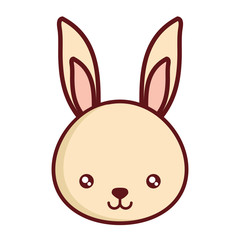 cute rabbit icon over white background, colorful design. vector illustration