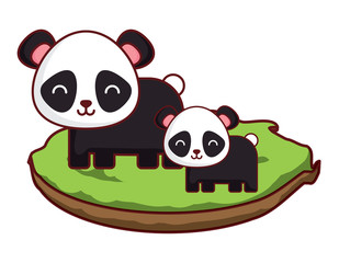 cute panda bears on the grass over white background, colorful design. vector illustration