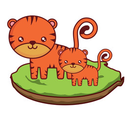 cute tigers on the grass over white background, colorful design. vector illustration