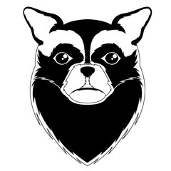 Silhouette of a long hair chihuahua avatar