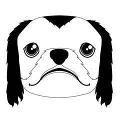 Silhouette of a pekingese avatar