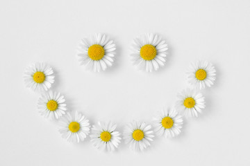 Obraz premium Daisies smile on white background