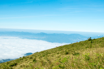 Sky, mountain, forest, fog and beautiful views.