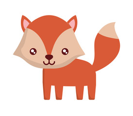 cute fox icon over white background, colorful design. vector illustration