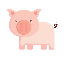 cute pig icon over white background, colorful design. vector illustration