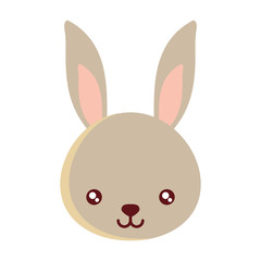 cute rabbit icon over white background, colorful design. vector illustration