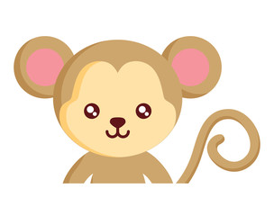 cute monkey icon over white background, colorful design. vector illustration