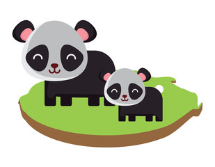 cute panda bears on the grass over white background, colorful design. vector illustration