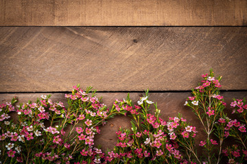 Tiny pink flowers on a wood plank backgroud with copy space