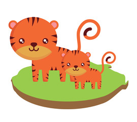 cute tigers on the grass over white background, colorful design. vector illustration