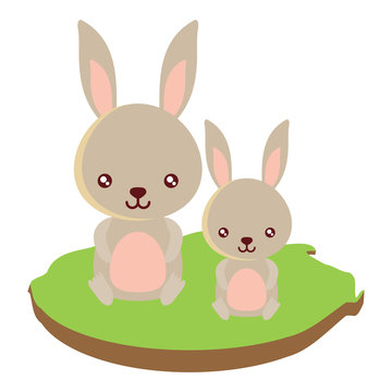 cute rabbits on the grass over white background, colorful design. vector illustration